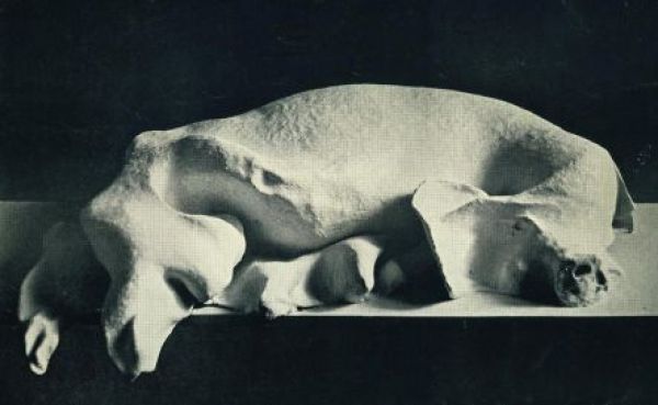 
                  Sleeping Pig, 1971, Papier-maché,, 80 x 35 cm        