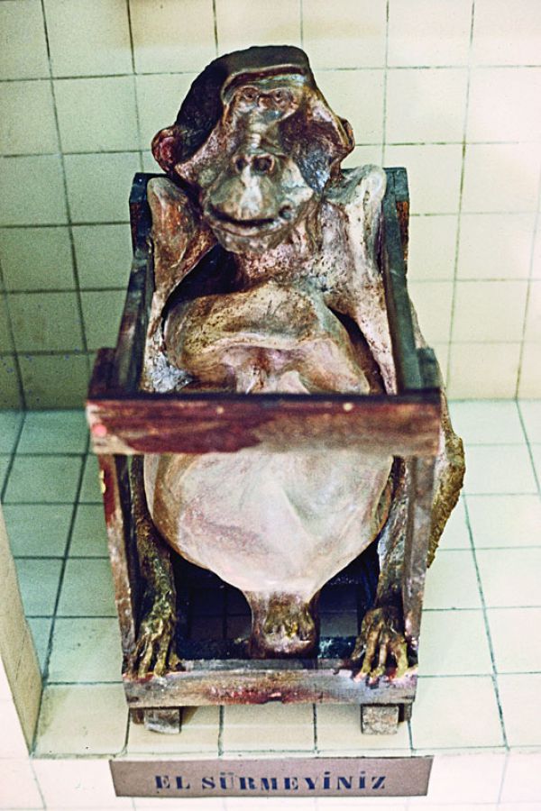 
                  Compressed Monkey, 1974, Papier maché,  x  cm        