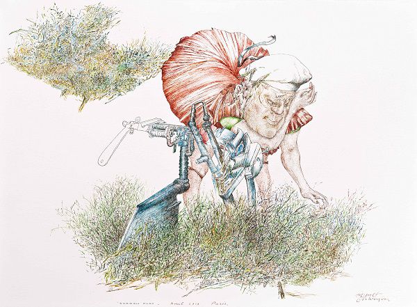 
                  Cordon Bleu, 2013, Ecoline on paper, 57 x 77 cm        