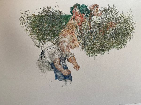 
                  In The Garden, 2013, Ecoline on paper, 57 x 77 cm        