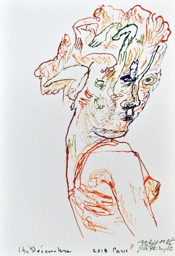 
                  The Garden of Complaints, 2018, Ecoline on Arches paper, 26 x 18 cm        