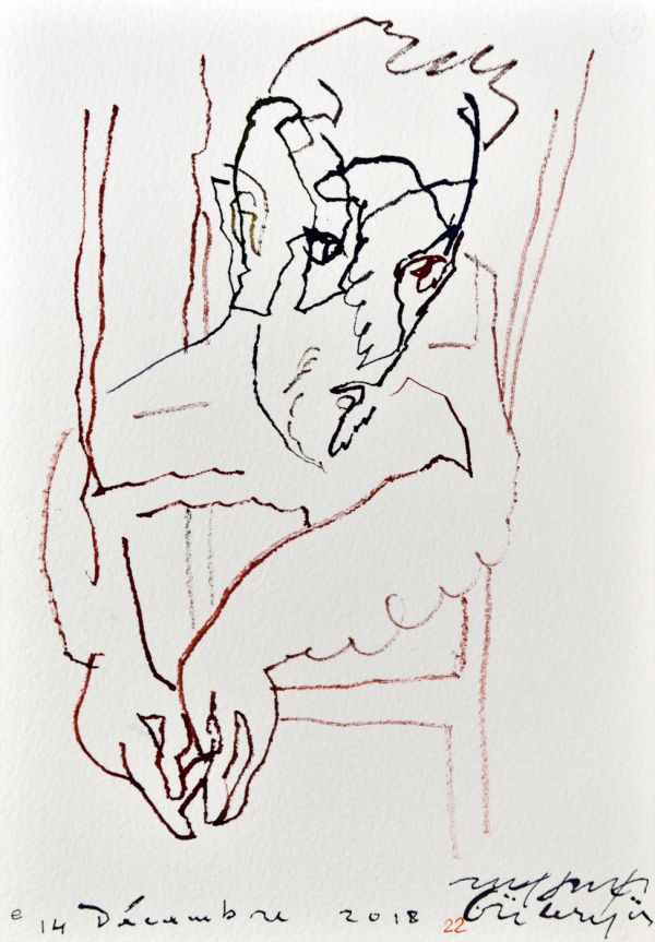 
                  Le Jardin des Plaintes / Dessin 22 E / 14 Décembre 2018 Paris, 2018, Ecoline on arches paper, 26 x 18 cm        